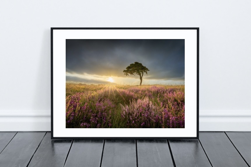Framed art print in a modern living room setting