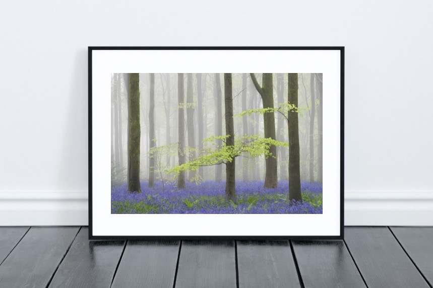 Framed art print in a modern living room setting