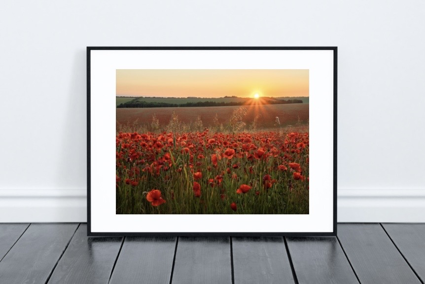 Framed art print in a modern living room setting